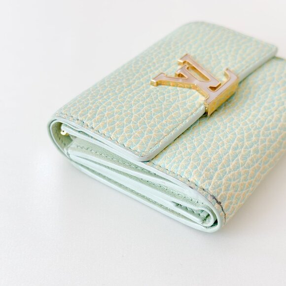 Louis Vuitton Summer Stardust Capucines Wallet - Picture 12 of 15